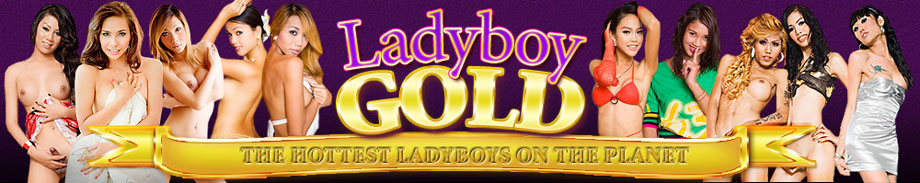 Hot Ladyboys With Toys at Ladyboy Gold